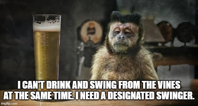 Kerry Swope, Drinking Monkey Beer, Read Our Lips Book, Wacky Memes For Animal Lovers, TheComedyConsultant-TheComedyWritersAndConsultants, Funny Animal Book, Animal Pictures Captions, Animal Memes, JokeWriterHire, ComedyWritersForHire
